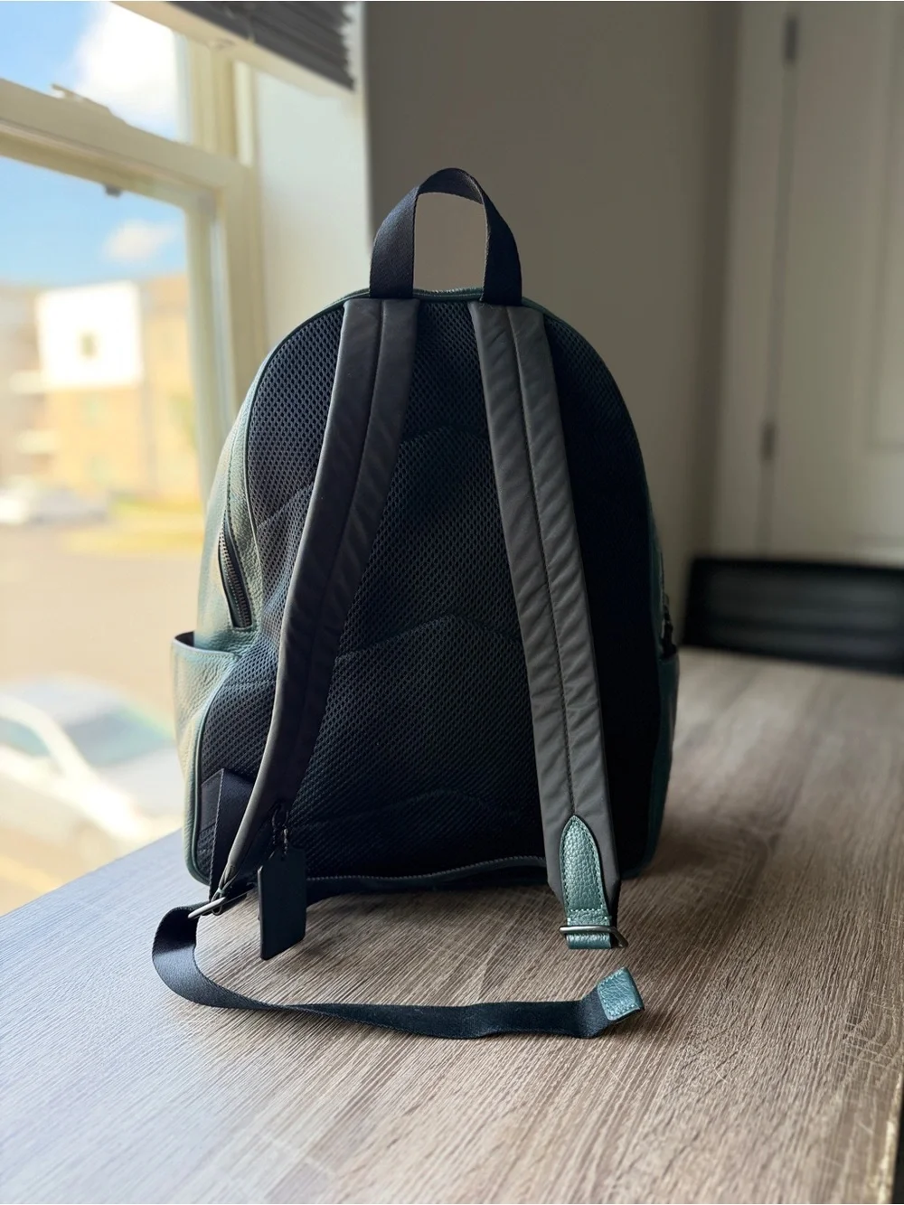 Coach New York Pebbled Leather Backpack in green